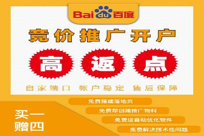 SEM推广实战：案例解析与策略探讨